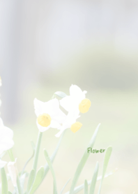 Flower Theme 45