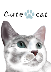 cute cat white version