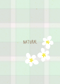 Check 3 white flowers16 from Japan