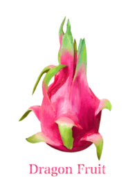 Tropical Dragon Fruit 10