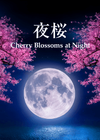 Cherry Blossoms at Night vol.3