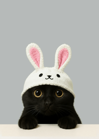 Black Cat Bunny Ears | Simple Gray#11