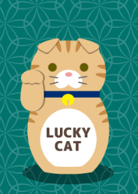 LUCKY CAT[Scottish Fold]O