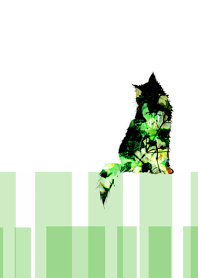 黒猫と花模様