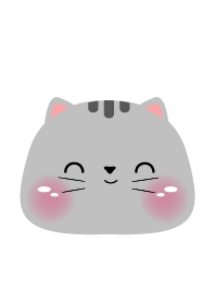 Minimal grey cat  Theme