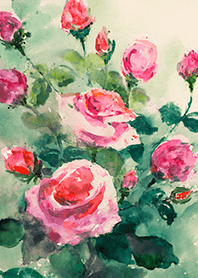 Beautiful rose flower(R4099)