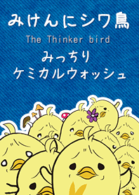 The Thinker bird 2 Chemical Wash denim