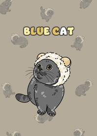 bluecat2 - khaki