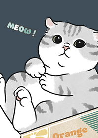 neko single15 / indigo