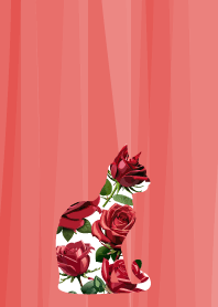 rose cat on red