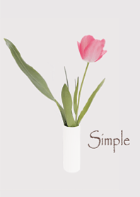 Gentle Tulip17