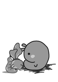 rabbit staring-19
