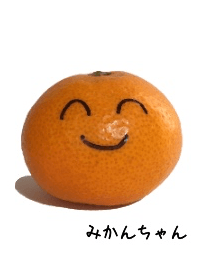 LOVELY ORANGE MIKANCHAN