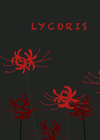 Red & White Lycoris