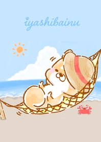 わくわく夏♥いやしばいぬ