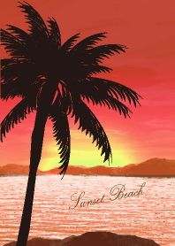 Sunset Beach 317