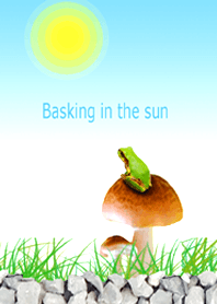 cute frog sunbathing