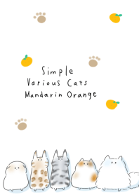 simple Various cats Mandarin orange