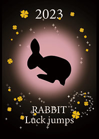 Black Pink : 2023 a jump rabbit!