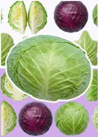 白菜真人表演 紫色