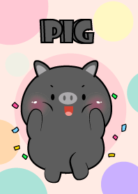 Little Prety Black Pig  Theme