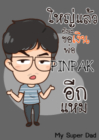 PINPAK My father is awesome_N V07 e