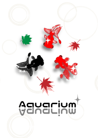 アクアリウム(金魚)4