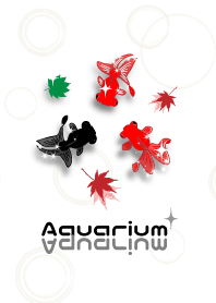 Aquarium goldfish 4
