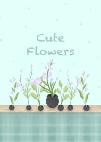 Cute flowers in the world