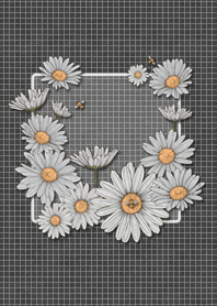 White Daisy | Innocence