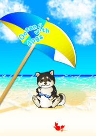 Summer sea with Shiba dogs #cool