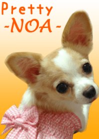 Pretty☆ノアちゃん☆