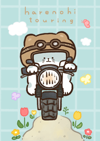 sunny day touring