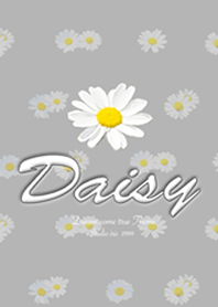 Daisy flower5