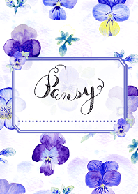 Everyday flowers -pansy-