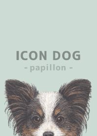 ICON DOG - Papillon - PASTEL GR/03