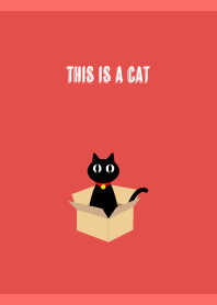 This is a cat on red