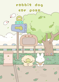 rabbit dog car pose2