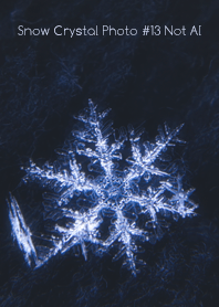 Snow Crystal Photo #13-17Not AI