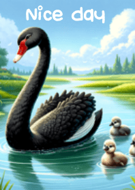 The swan black 1