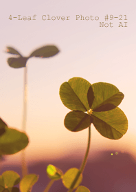 4-Leaf Clover Photo#9-21Not AI