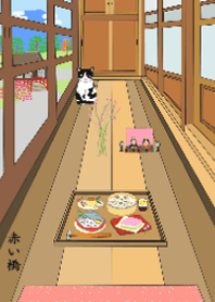 日本シリーズ 8-古民家の廊下の猫-赤い橋