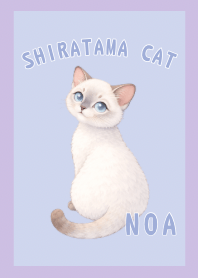 Noa the Fluffy Mochi Cat ( Purple )