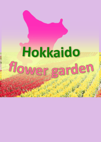 홋카이도의 꽃밭