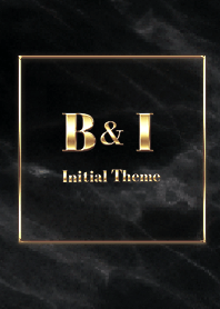 [ B&I ] Initial Theme  Gold Black