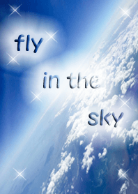 fly in the sky