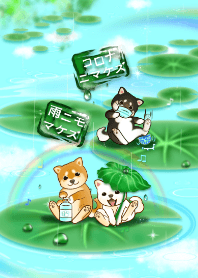 雨にも負けずコロナにも負けず（柴犬）