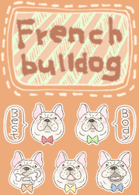French bulldog is the best body