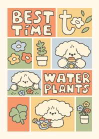 Best time to water plants :-)