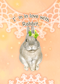 うさぎが好きすぎる着せ替え